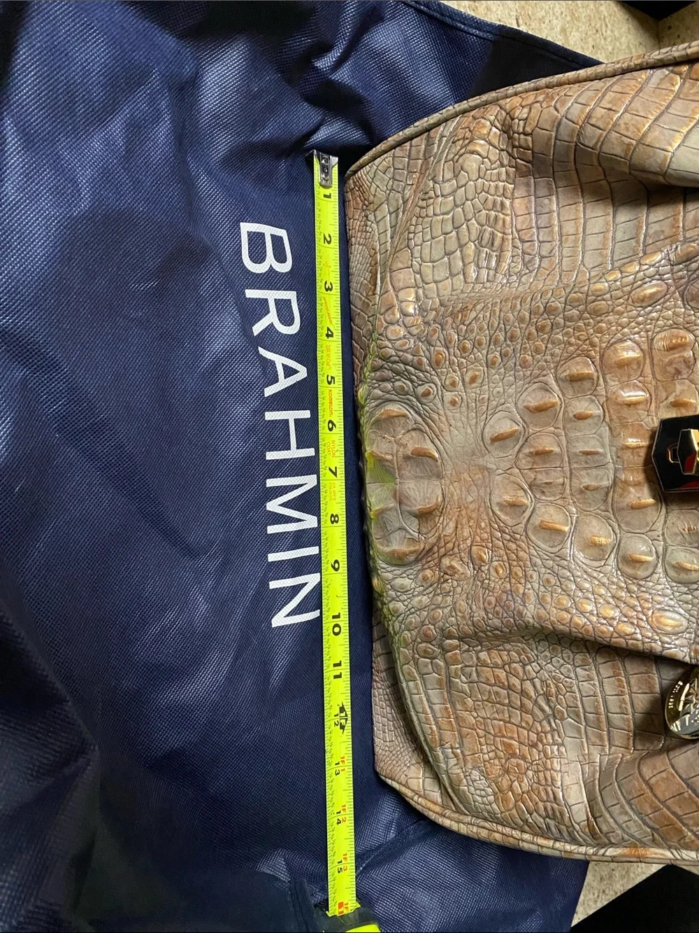 Brahmin Elisa satchel